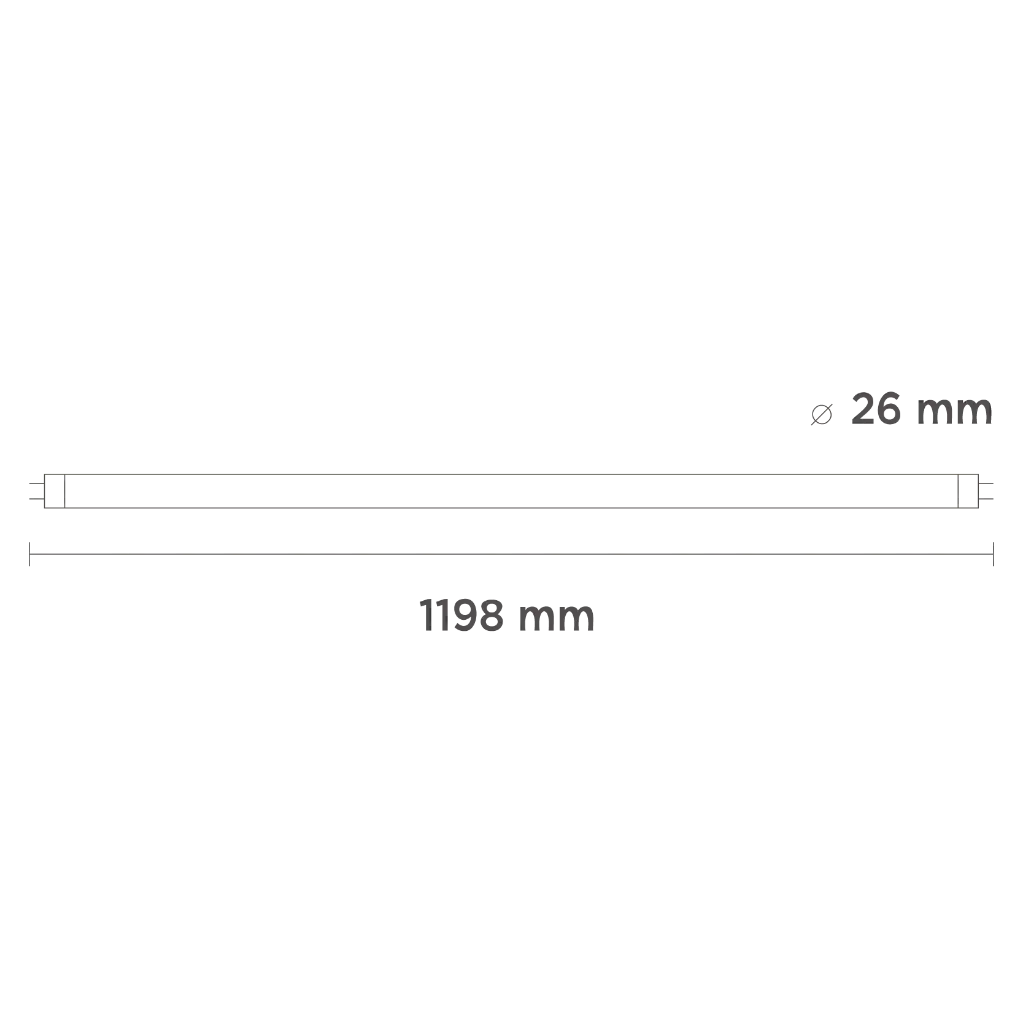 EVERTUBE II-2.webp