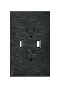 BF25-N PLACA PLANA 2 CONTACTOS 2 ENTRADAS USB 2.1A NEGRO FLAT